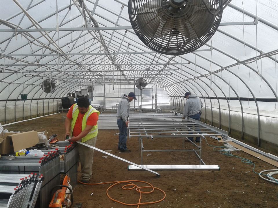  we have been upgrading our greenhouse growing systems. We're building a new Ebb n' Flow flood benching system that will conserve a significant amount of water and fertilizer while growing healthier plants at the same time.